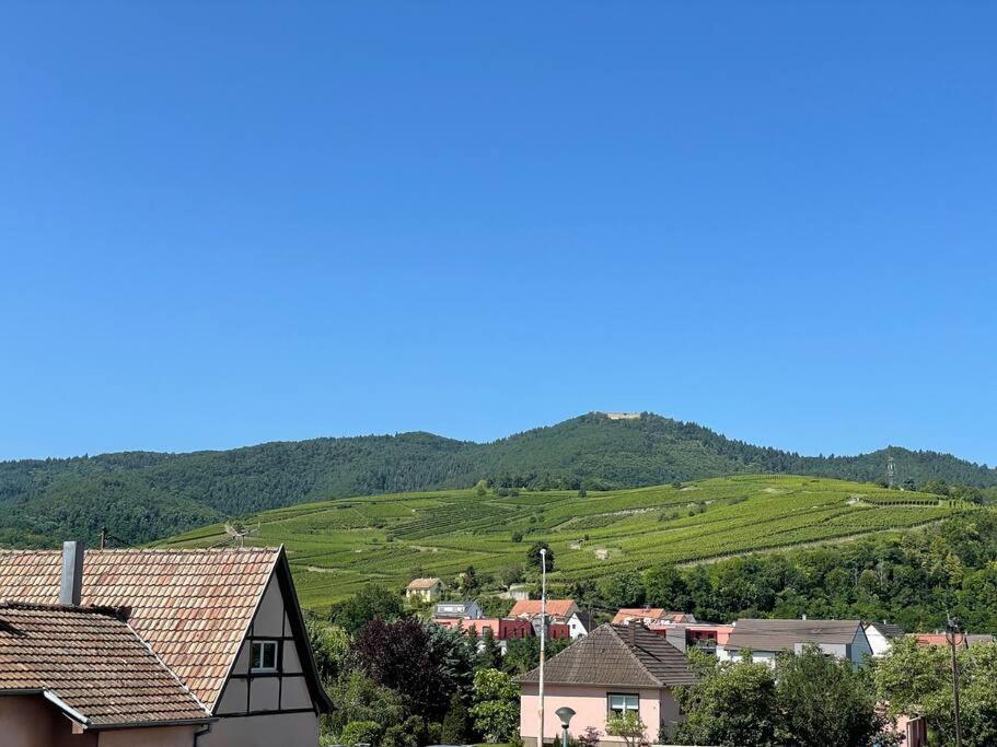 A2 Pas De Colmar Terrasse,Parking Apartman Wintzenheim Kültér fotó
