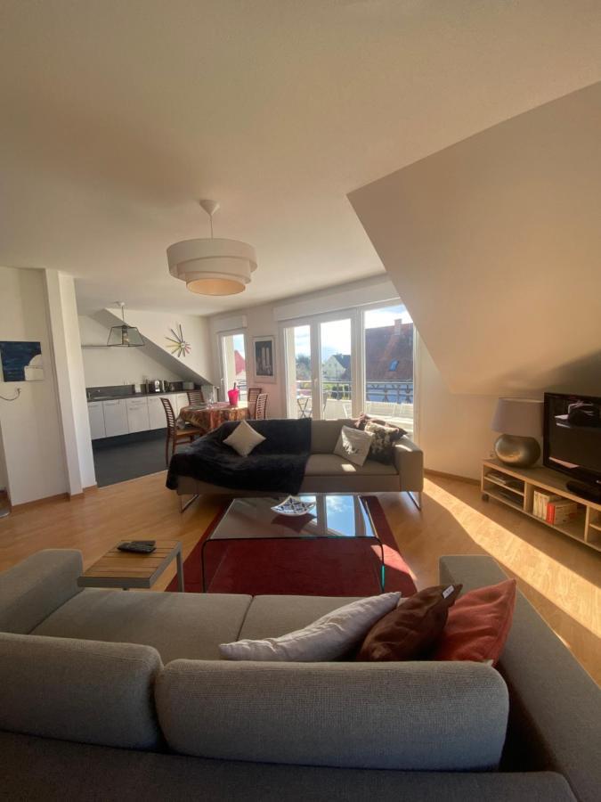 A2 Pas De Colmar Terrasse,Parking Apartman Wintzenheim Kültér fotó