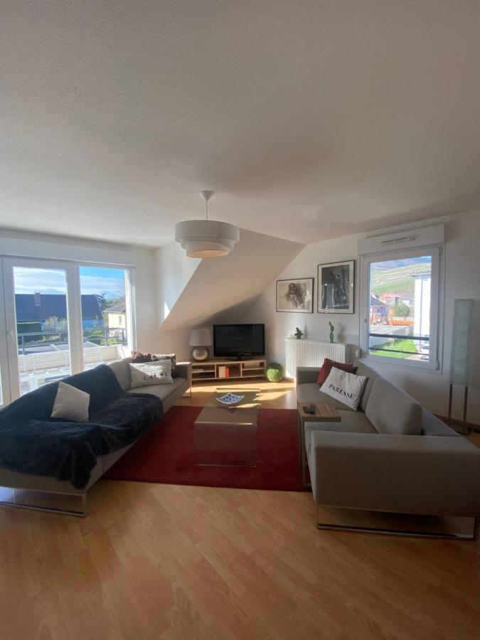 A2 Pas De Colmar Terrasse,Parking Apartman Wintzenheim Kültér fotó