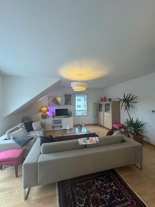 A2 Pas De Colmar Terrasse,Parking Apartman Wintzenheim Kültér fotó