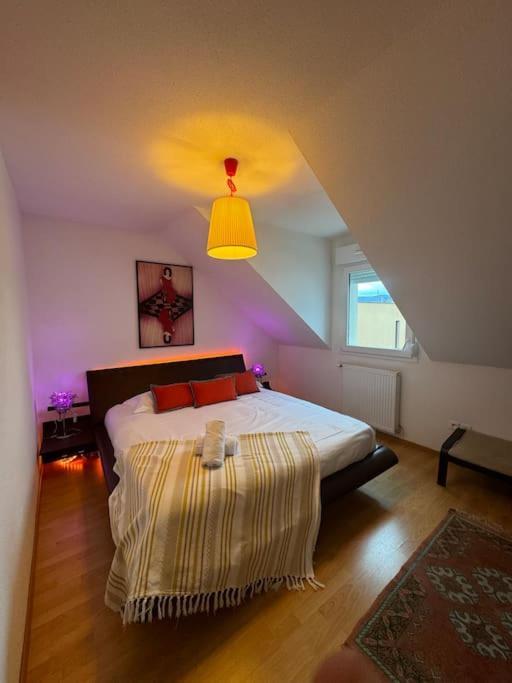 A2 Pas De Colmar Terrasse,Parking Apartman Wintzenheim Kültér fotó
