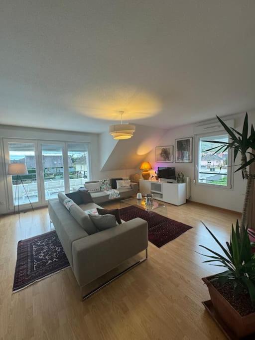 A2 Pas De Colmar Terrasse,Parking Apartman Wintzenheim Kültér fotó